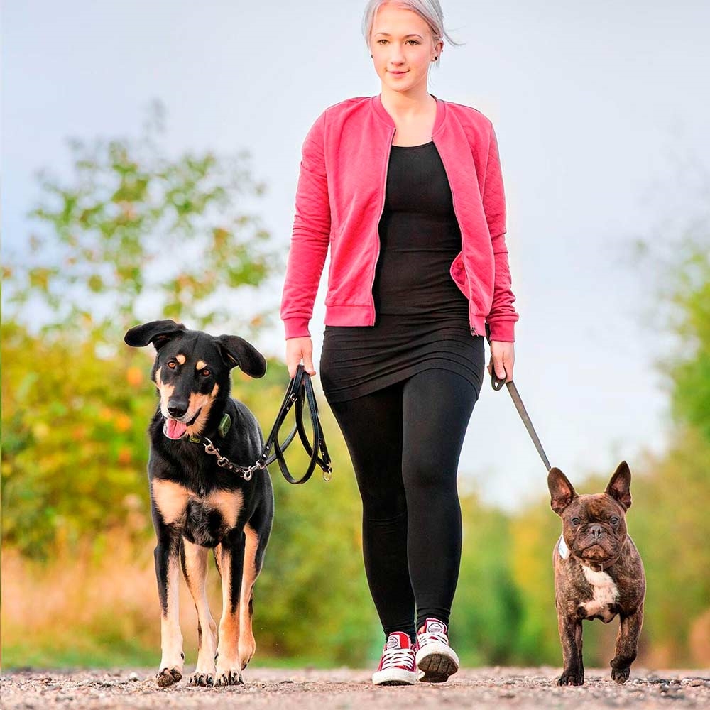 Tractive GPS Pet Tracker Hunter Til Hunde